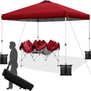 10 x 10 Pop-Up Canopy Tent with Instant Push Setup